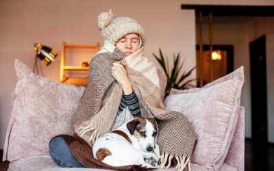 Bust Heating Myths Homeowners Still Believe (And What Actually Works)